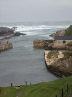 Ballintoy 25.1.08 029.jpg