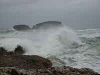 Ballintoy 25.1.08 004.jpg