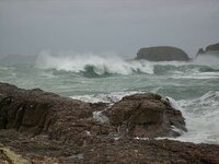 Ballintoy 25.1.08 011.jpg