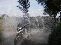 94443444-L (Small).jpg