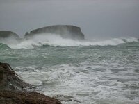 Ballintoy 25.1.08 008.jpg