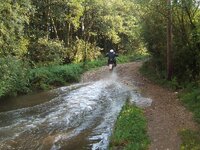 DSCF0781.jpg