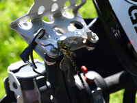 P6220211 copy.jpg