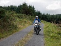 DSC_0262-2.jpg