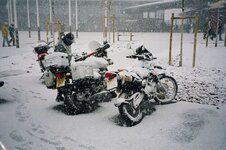 58690020.JPG