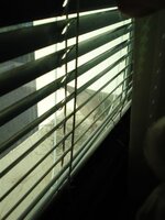 DSC00467.JPG