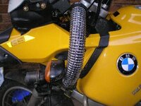 snorkel%25201.jpg