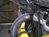 snorkel%203.jpg