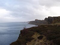 oot fur a run 005 (Medium).jpg