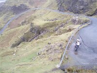 oot fur a run 011 (Small).jpg