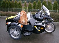 bmwr1150gsadvuralgoldenretreaver200.jpg