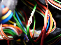 DSCN1124.jpg