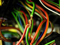 DSCN1128.jpg