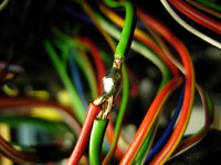 DSCN1129.jpg