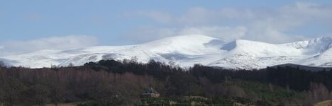 DSCF2489.JPG