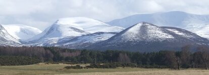 DSCF2491.JPG