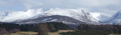 DSCF2490.JPG