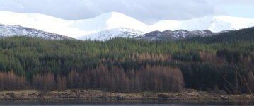 DSCF2494.JPG