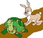 tort-hare.gif