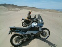 3181880-M[1].jpg