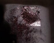 DSC00175.jpg