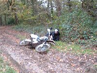 WDSCF0872-Off1.jpg