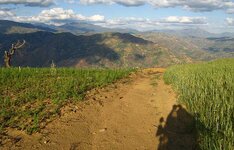 IMG_1678e.jpg