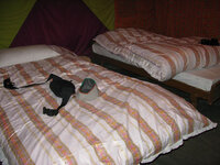 pic064.jpg