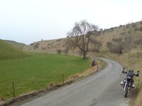 DSC00043.jpg