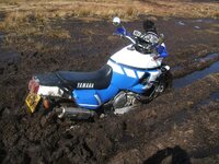 Picture 098wee.JPG