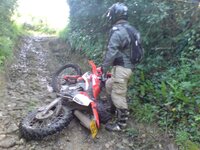 DSC00240 (Small).JPG