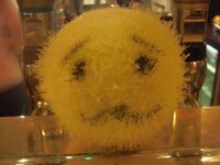 Bri's Heeeed.jpg