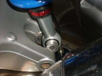 shocks 003.jpg