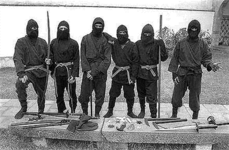 ninja_true20ninjas1 (Small).gif