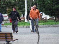 DSCF2210.jpg