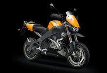 Yellow Uly2.jpg