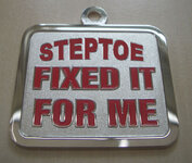 STEPPERS.jpg