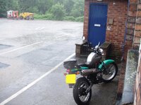 pike 10.jpg