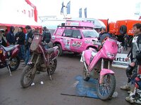 dutch dakar 187.jpg