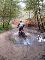 04-DavePuddle.jpg