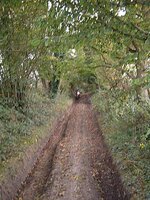 05-DaveInRutts.jpg
