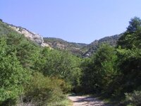 IMG_4793.JPG