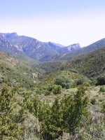IMG_4823.JPGsmall.JPG
