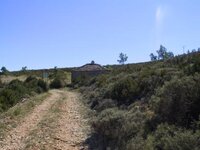 IMG_4825.JPGsmall.JPG