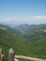 IMGP0374.jpg
