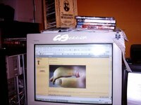 1111 010.jpg