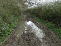 p4100008.jpg
