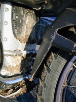bmw_web04.jpg