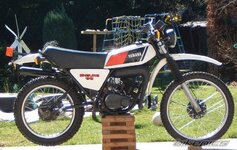 DT175MX.jpg