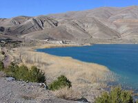 IMG_2955e.jpg
